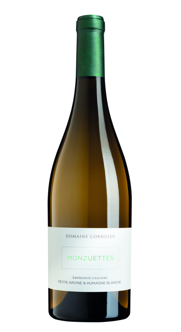 Empreinte Calcaire Blanc