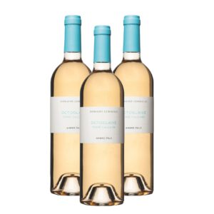 Coffret Ambre Pâle (12x)