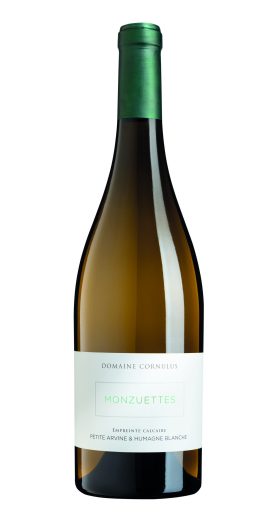 Empreinte Calcaire Blanc Monzuettes Domaine Cornulus