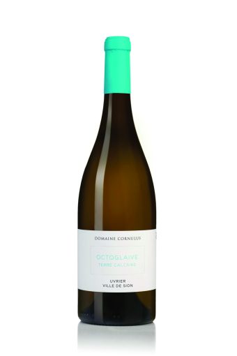 Octoglaive_terre calcaire 75cl_lindaphotosurex Octoglaive_terre calcaire 75cl_lindaphotosurex